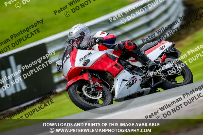 PJ Motorsport 2019;anglesey;brands hatch;cadwell park;croft;donington park;enduro digital images;event digital images;eventdigitalimages;mallory;no limits;oulton park;peter wileman photography;racing digital images;silverstone;snetterton;trackday digital images;trackday photos;vmcc banbury run;welsh 2 day enduro
